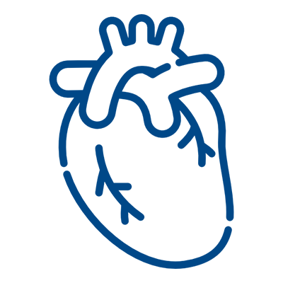 Cardiovascular